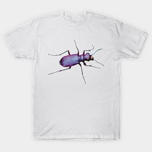 Metallic Purple Tiger Beetle T-Shirt